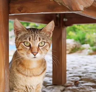 品牌服务展示图